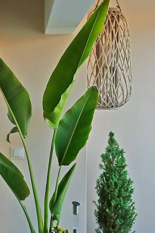 Apartment Luxury Cabaret Suite Malaga